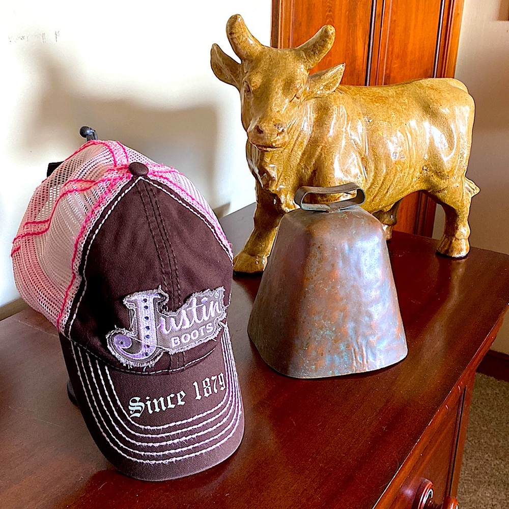 🐂Justin Trucker Cap🧢 Hat